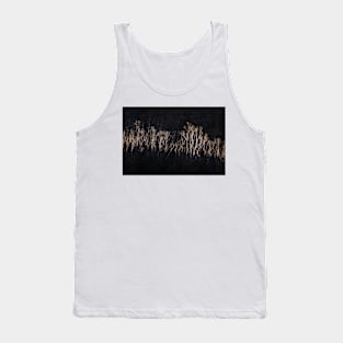 Strip Of Light Tank Top